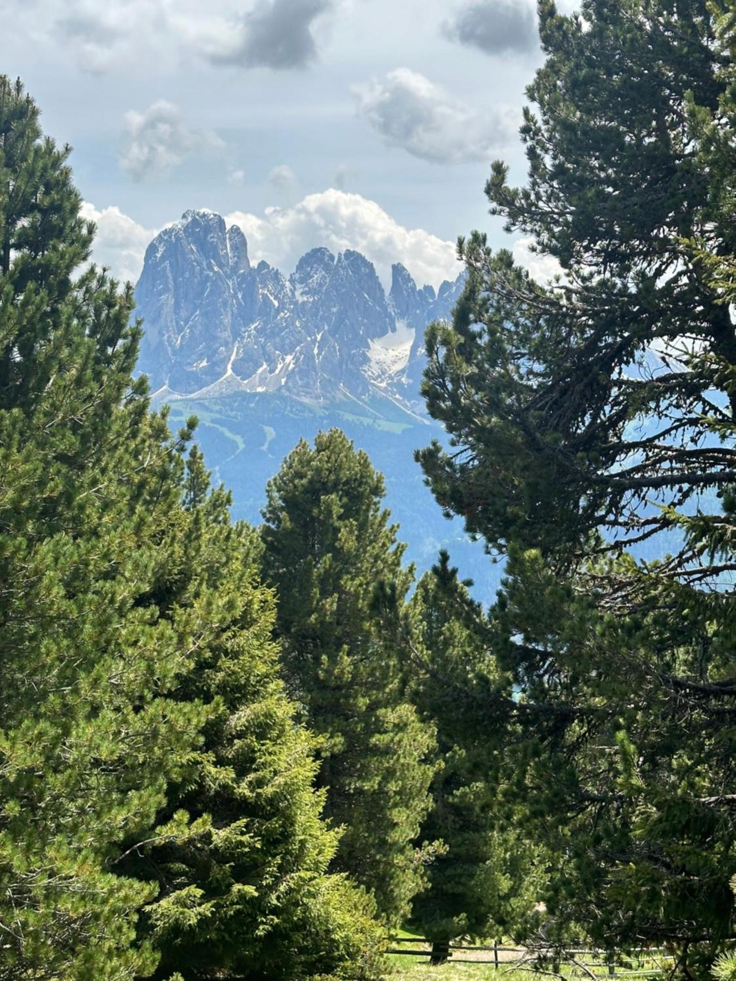 Chalet Da Mont Resciesa Ortisei Eksteriør bilde
