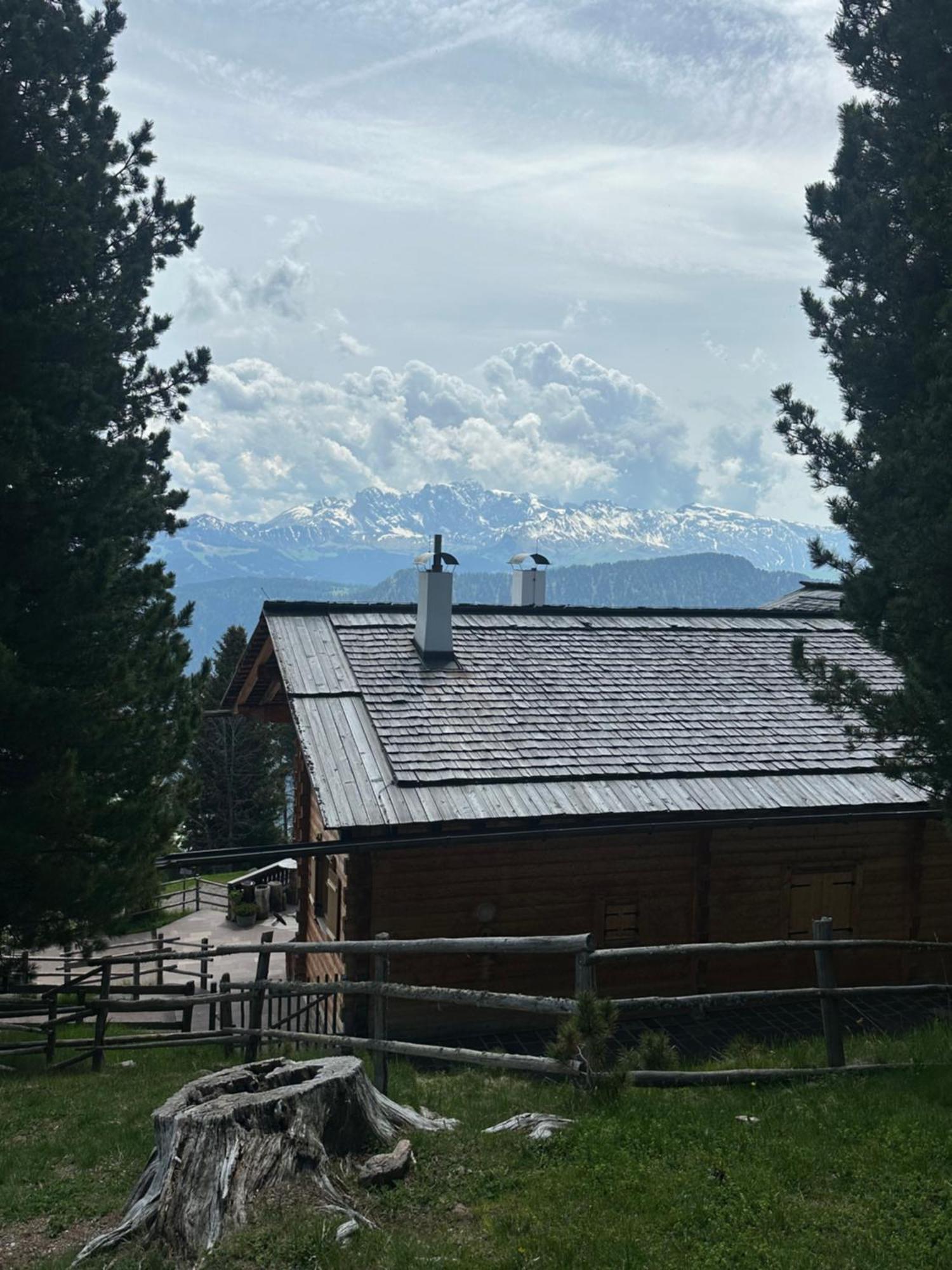 Chalet Da Mont Resciesa Ortisei Eksteriør bilde