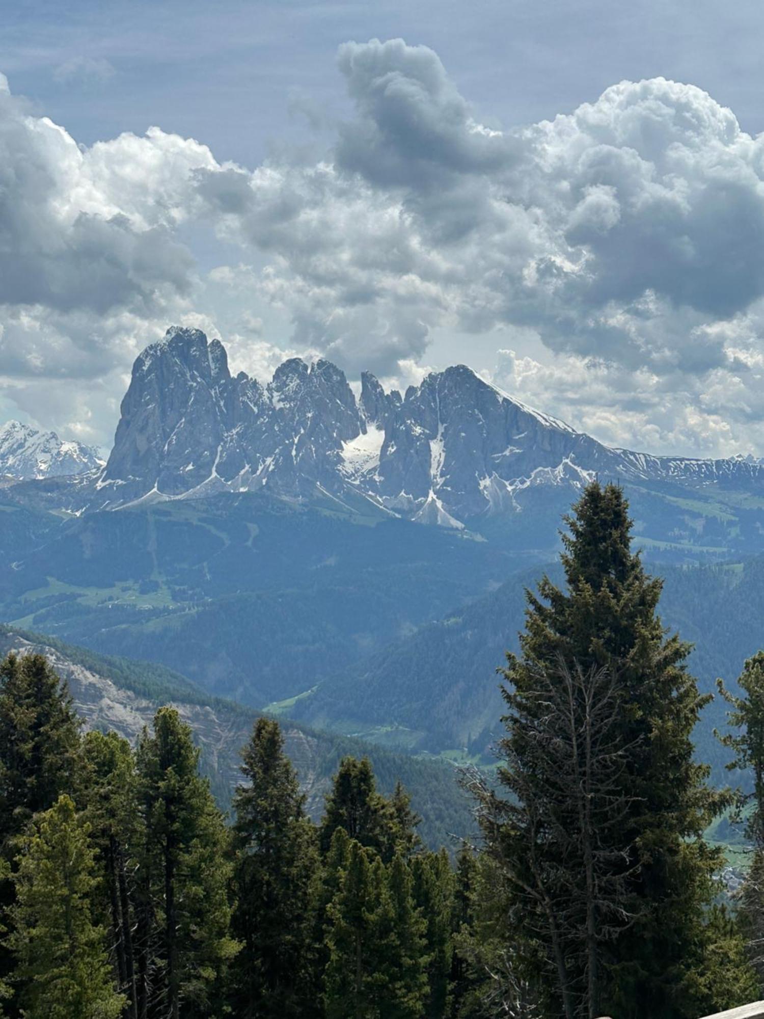 Chalet Da Mont Resciesa Ortisei Eksteriør bilde